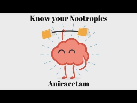 Know your Nootropics – Aniracetam