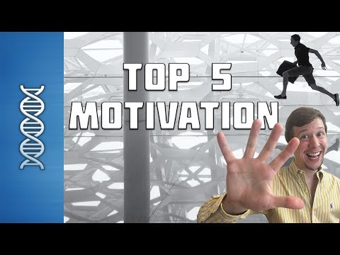 The TOP 5 Nootropics for Increasing Motivation