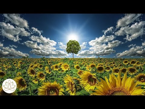Music for Peaceful Times: Stress Relief, Meditation Music, Calming Sleep Music (Day of Peace)