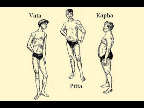The Ayurvedic Body Types and Their Characteristics (Vata Pitta Kapha)