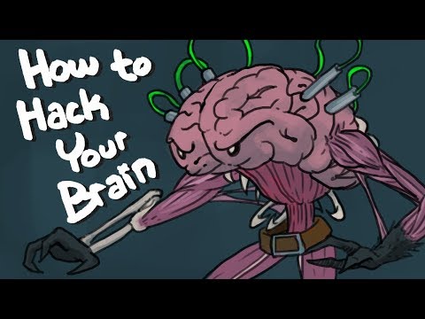 How To Hack Your Brain – Top 6 Nootropics