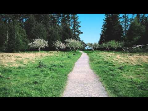 20 Minute Body Scan – Mindfulness Meditation – New Mindful Life