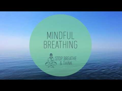 3-minute Mindful Breathing Meditation