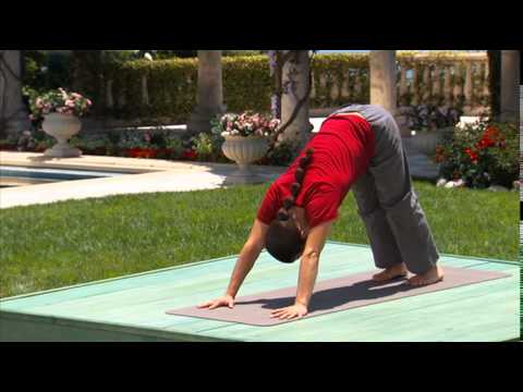 Hatha & Flow Yoga for Beginners
