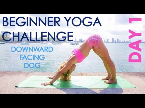 Day 1 Beginner Yoga Challenge: Downward Facing Dog