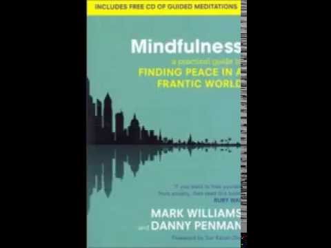 Mindfulness Meditation   Body Scan