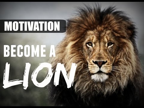 MOTIVATION – BECOME A LION