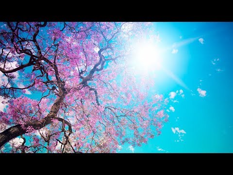Romantic Relaxing Music for Stress Relief. Soothing Music for meditation, massage, music therapy