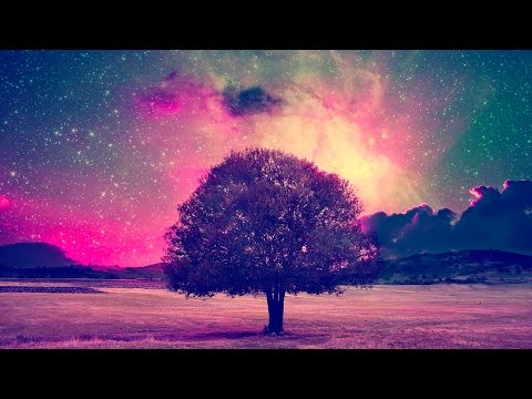 Relaxation Music for Stress Relief and Healing Sleep Meditation | Relaxing Music to Sleep and Relax