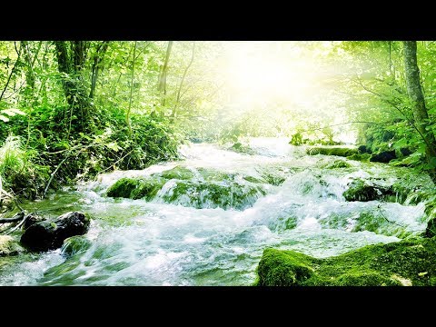 Music for Sleeping, Soothing Music, Stress Relief, Go to Sleep, Background Music, 8 Hours, ☯3415