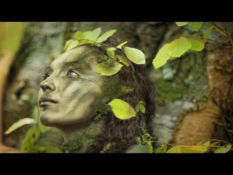 30 Minutes of Relaxing Celtic Music ~ Dance of Life ★91