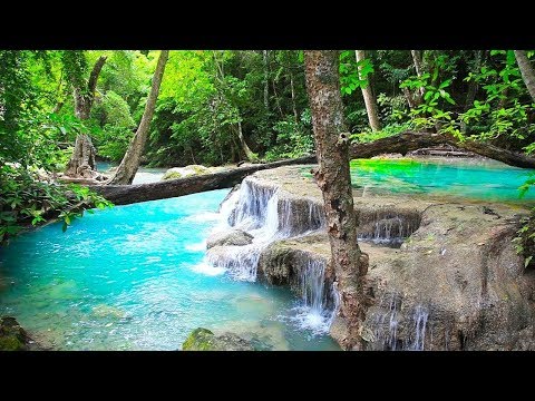 Waterfall & Jungle Sounds – Relaxing Tropical Rainforest Nature Sound Singing Birds Ambience
