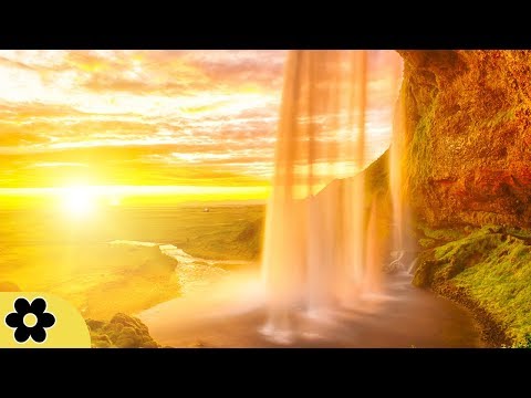 Meditation, Zen Music, Relaxation Music, Chakra, Relaxing Music for Stress Relief, Relax, ✿3089C