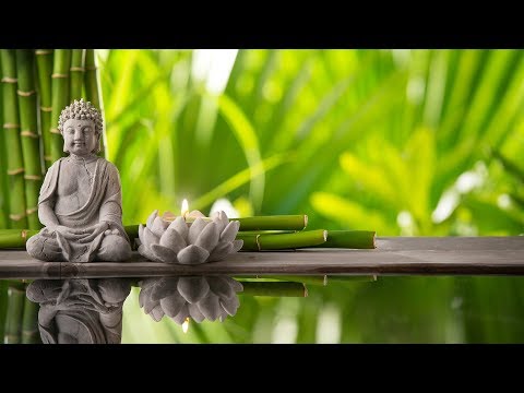 Relaxing Music Sleep | Relaxation Music for Stress Relief and Healing Sleep Meditation Music