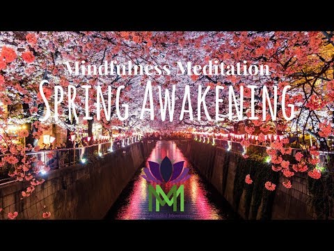 15 Minute Mindfulness Meditation–Spring Awakening