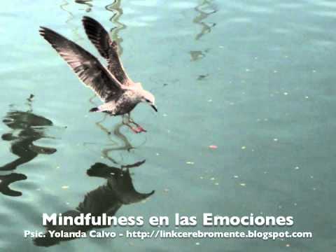 Mindfulness en las Emociones