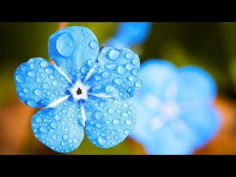 Mindfulness Relaxing Music for Stress Relief. Calm Instrumental Background Music for Relaxation