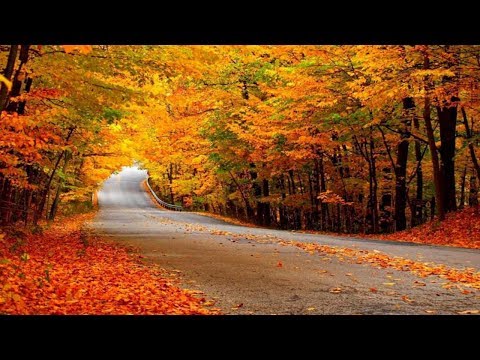 Best Instrumental Guiar Solo – Relaxing Music Mix For Stress Relief 2018 -Excitement In The Morning
