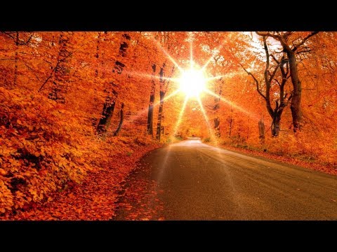 Acoustic Guitar Instrumental Music – Soothing Relaxation Music 2018 – Relaxing Music Sleep, Healing