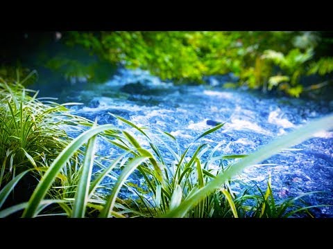 10 Hours River Sleep Sounds | Water White Noise for Relaxation