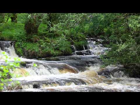 Waterfall & Forest Sounds-Relaxing Sound of Nature-Soothing Birds Singing Relaxation