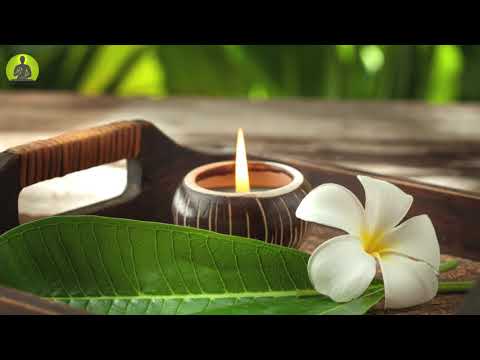 “Let Go Of All Negative Energy” Meditation Music, The Deepest Healing Music, Relax Mind Body
