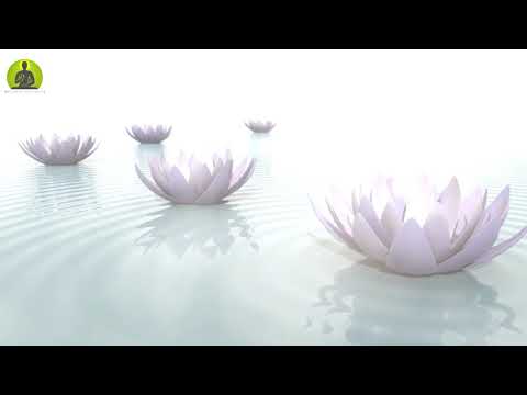 “Deepest Healing Music” Let Go Of All Anxiety & Stress, Meditation Music Relax Mind Body