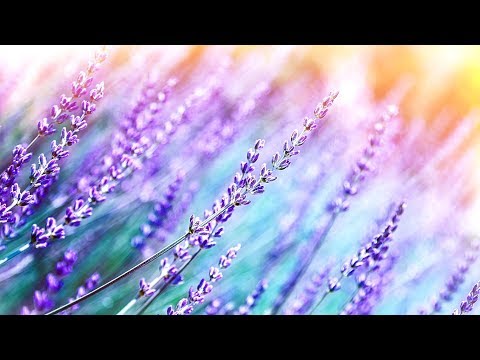 Relaxing Music for Stress Relief. Meditation Music. Sleep Music. Healing Therapy, Spa