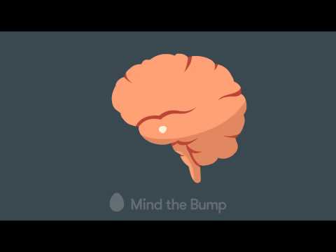 Mind the Bump – Mindfulness and how the brain works