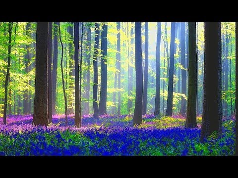 Relaxing Music for Stress Relief. Soothing Celtic Music for Meditation, Healing Therapy, Sleep, Yoga