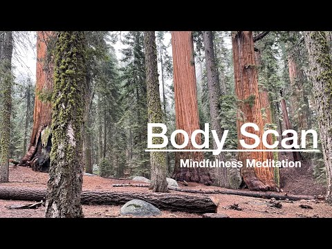 Body Scan Mindfulness Meditation – A Short Guided Body Scan Meditation